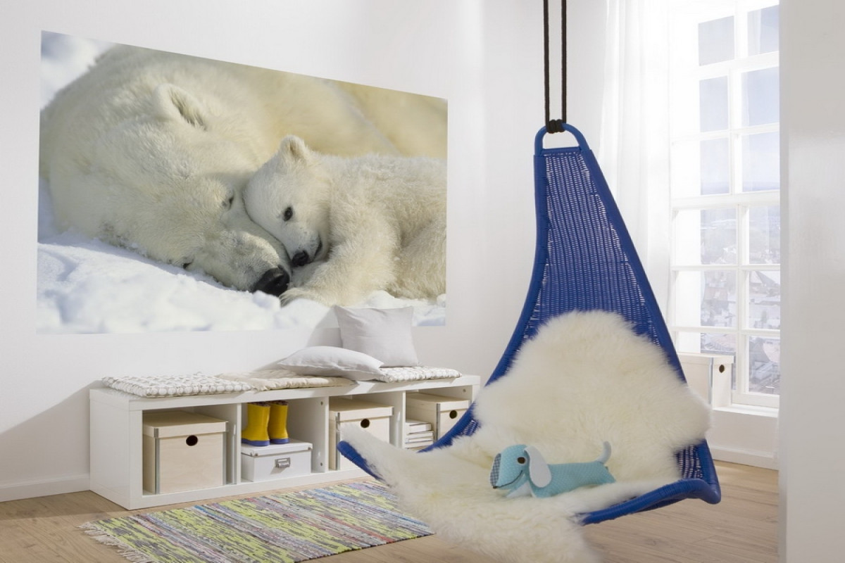 Wallpapers 1-605, Polar Bears Wallpapers 1-605, Polar Bears