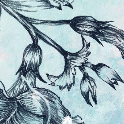 Wallpaper catalog - XXL4-071, Windflowers Wallpaper catalog - XXL4-071, Windflowers