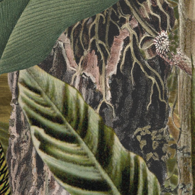 Wallpaper catalog - XXL4-063, Amazonia Wallpaper catalog - XXL4-063, Amazonia