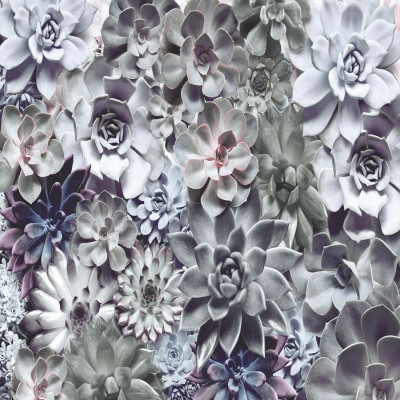 Wallpaper catalog - 8-962, Shades Wallpaper catalog - 8-962, Shades