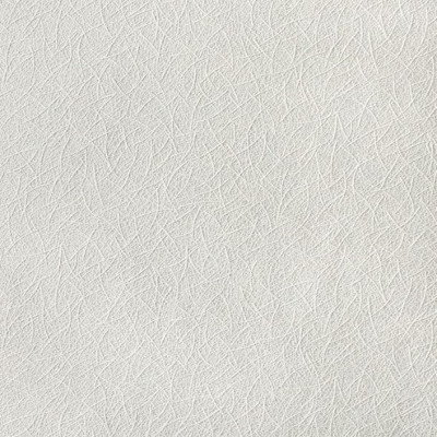 Wallpaper catalog - 80379BR60, Bravo Wallpaper catalog - 80379BR60, Bravo