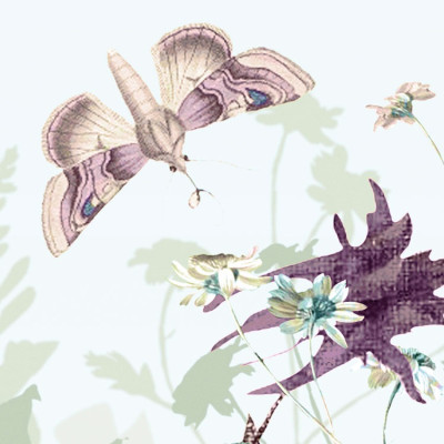 Wallpaper catalog - XXL4-035, Botanica Wallpaper catalog - XXL4-035, Botanica