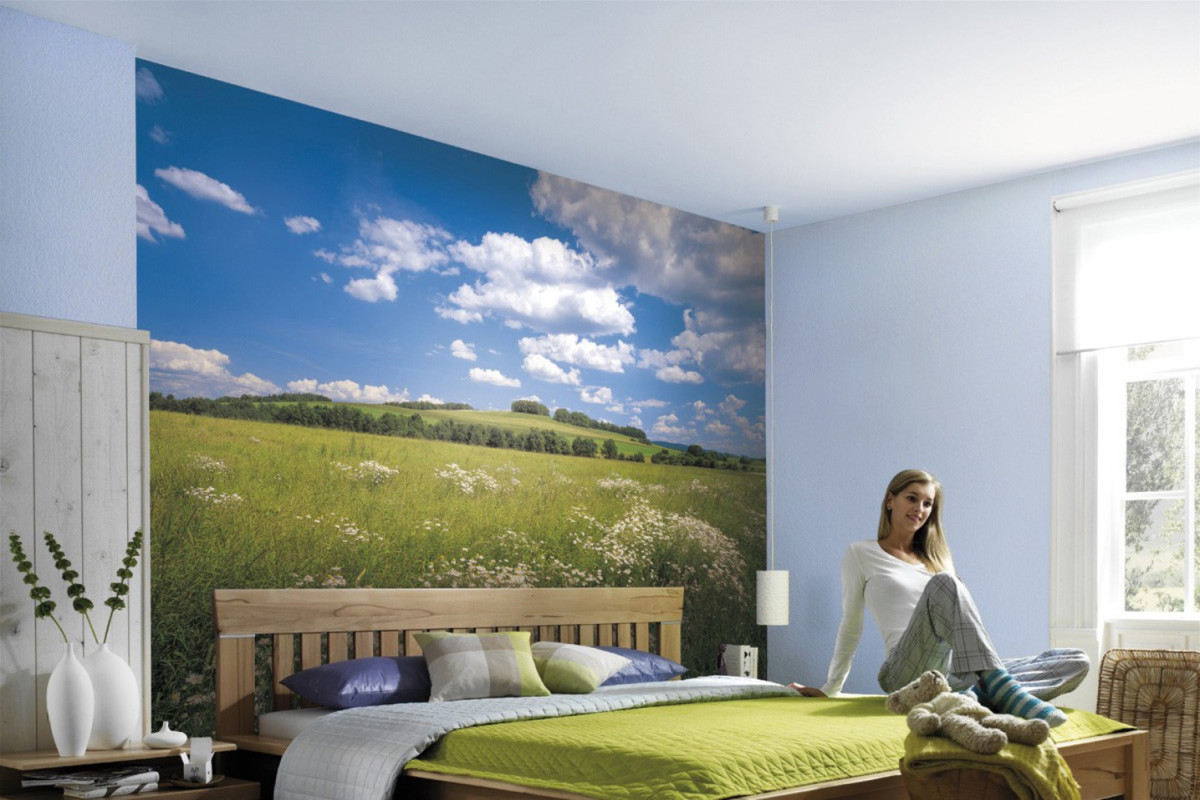 Divar kağızları 8-254, Meadow Divar kağızları 8-254, Meadow