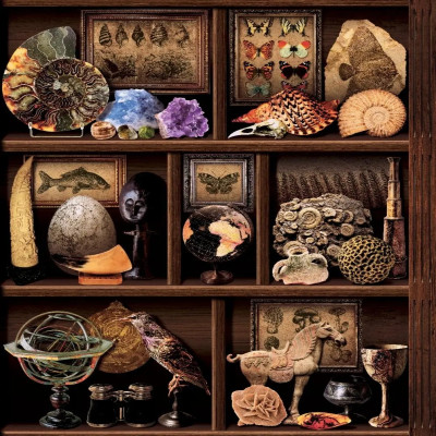 Divar kağızları kataloqu - J711-08, Faux Semblant Divar kağızları kataloqu - J711-08, Faux Semblant