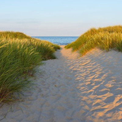 Divar kağızları kataloqu - 8-995, Sandy Path Divar kağızları kataloqu - 8-995, Sandy Path