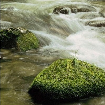 Divar kağızları kataloqu - 2-1047, Ellowa Falls Divar kağızları kataloqu - 2-1047, Ellowa Falls