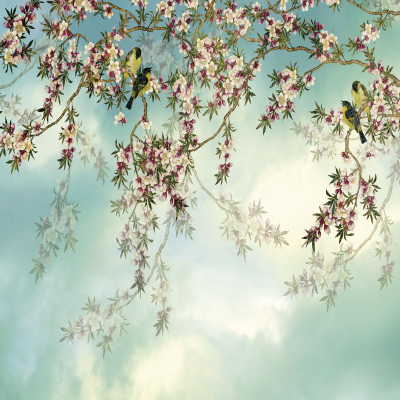 Wallpaper catalog - 8-213, Sakura Wallpaper catalog - 8-213, Sakura