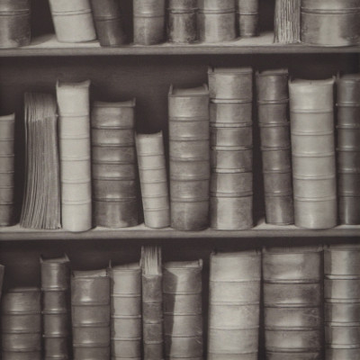 Divar kağızları kataloqu - F923-09, Bluff Divar kağızları kataloqu - F923-09, Bluff