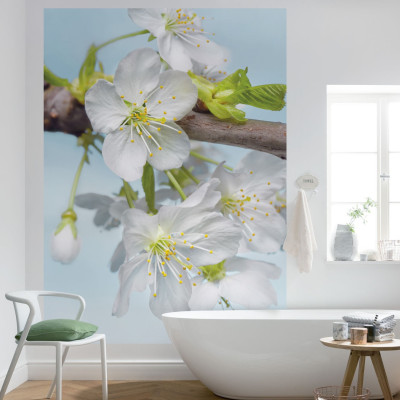 Wallpaper catalog - XXL2-033, Blossom Wallpaper catalog - XXL2-033, Blossom