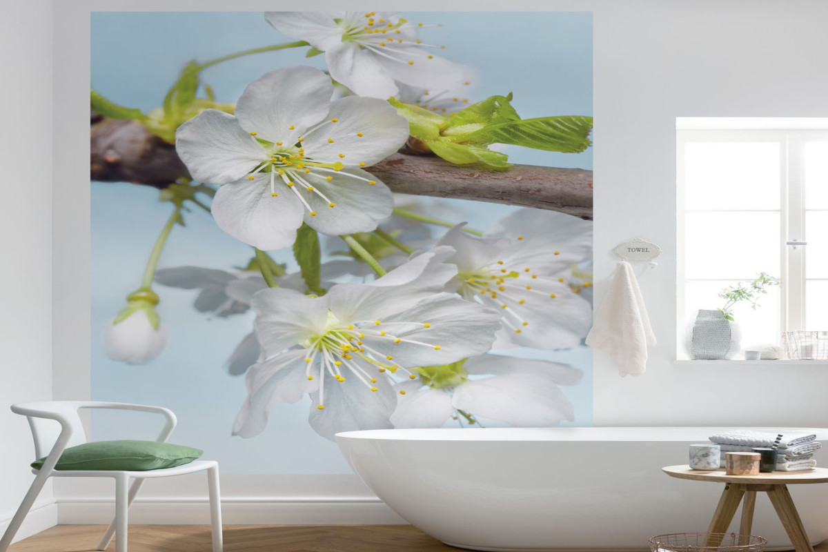 Divar kağızları XXL2-033, Blossom Divar kağızları XXL2-033, Blossom