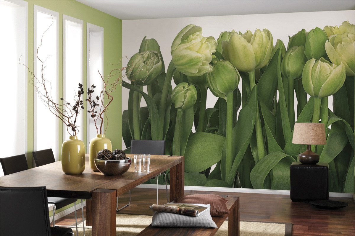 Divar kağızları 8-900, Tulips Divar kağızları 8-900, Tulips