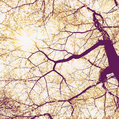 Wallpaper catalog - V5-752, Sunshine Wallpaper catalog - V5-752, Sunshine