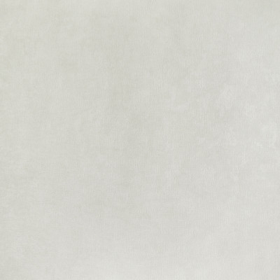 Divar kağızları kataloqu - E401701, Лантана Divar kağızları kataloqu - E401701, Лантана