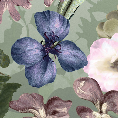 Wallpaper catalog - XXL4-035, Botanica Wallpaper catalog - XXL4-035, Botanica