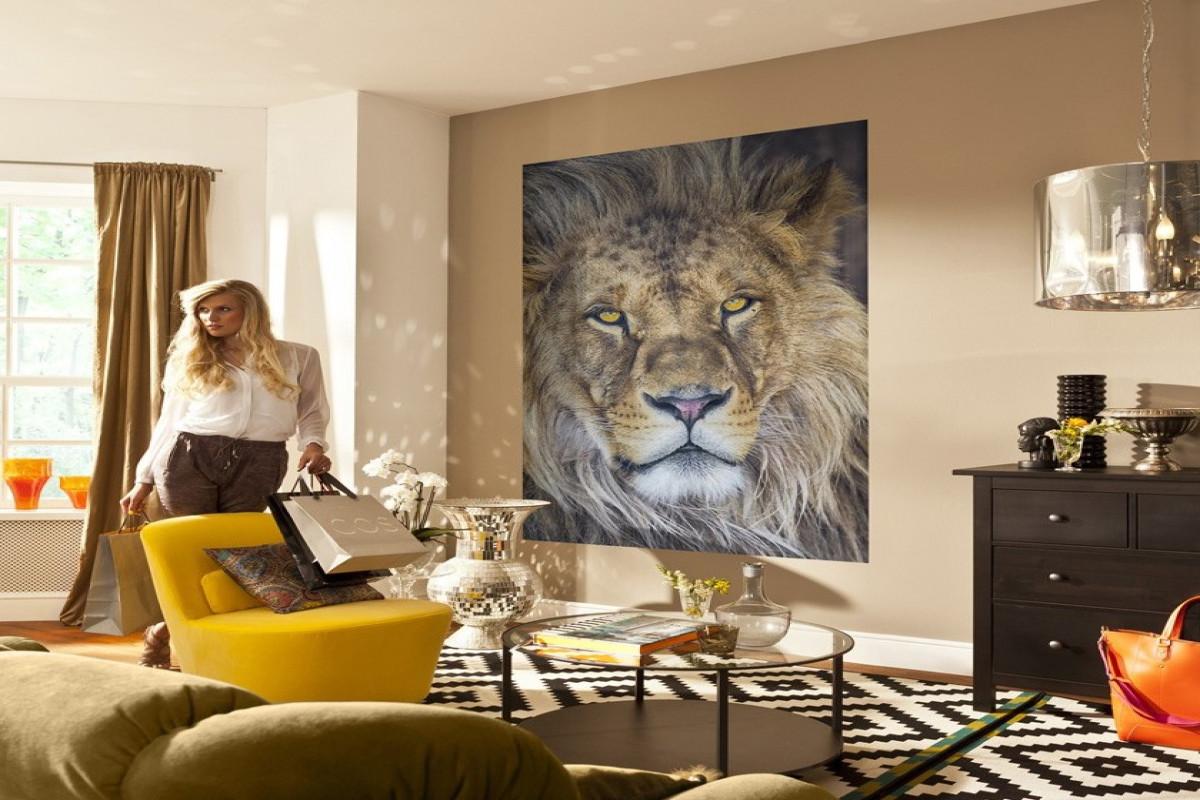 Wallpapers 1-619, Lion Wallpapers 1-619, Lion