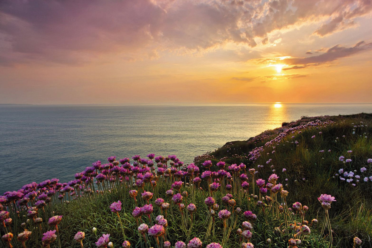Wallpapers 8-901, Land's End Wallpapers 8-901, Land's End