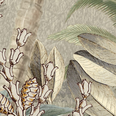 Wallpaper catalog - XXL4-063, Amazonia Wallpaper catalog - XXL4-063, Amazonia