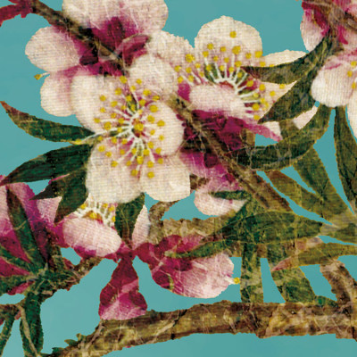 Wallpaper catalog - 8-213, Sakura Wallpaper catalog - 8-213, Sakura