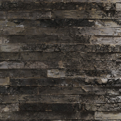 Wallpaper catalog - 8-700, Birkenrinde Wallpaper catalog - 8-700, Birkenrinde