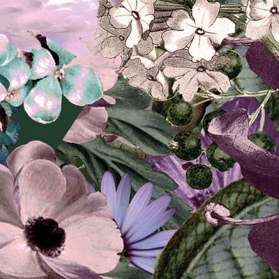 Wallpaper catalog - XXL4-035, Botanica Wallpaper catalog - XXL4-035, Botanica