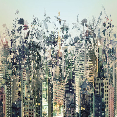 Wallpaper catalog - 8-979, Urban Jungle Wallpaper catalog - 8-979, Urban Jungle