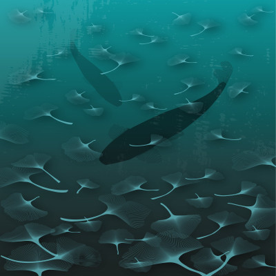 Wallpaper catalog - V4-759, Ginkgo Wallpaper catalog - V4-759, Ginkgo