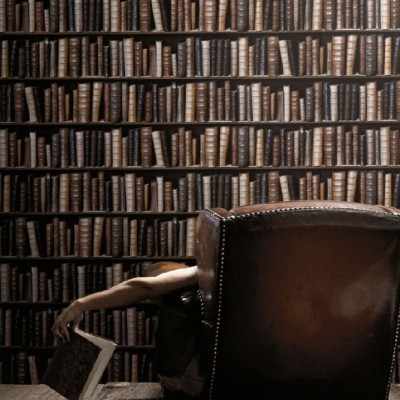 Divar kağızları kataloqu - - F923-28 (97608), Bluff Divar kağızları kataloqu - - F923-28 (97608), Bluff