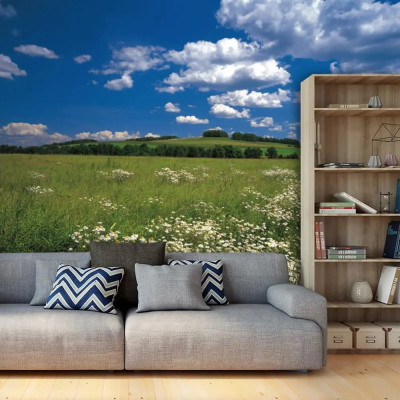 Divar kağızları kataloqu - 8-254, Meadow Divar kağızları kataloqu - 8-254, Meadow
