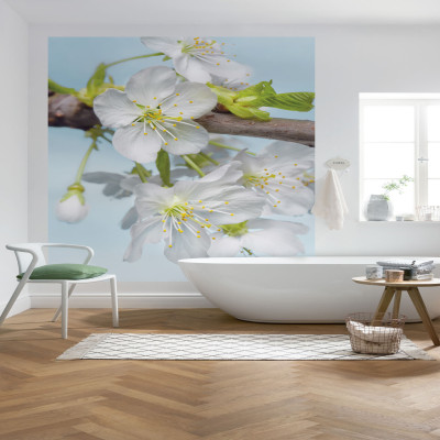 Wallpaper catalog - XXL2-033, Blossom Wallpaper catalog - XXL2-033, Blossom