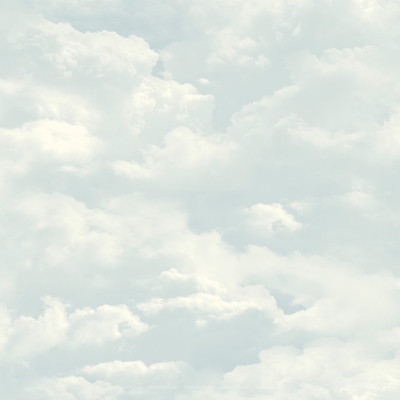 Divar kağızları kataloqu - L131-01, Faux Semblant Divar kağızları kataloqu - L131-01, Faux Semblant