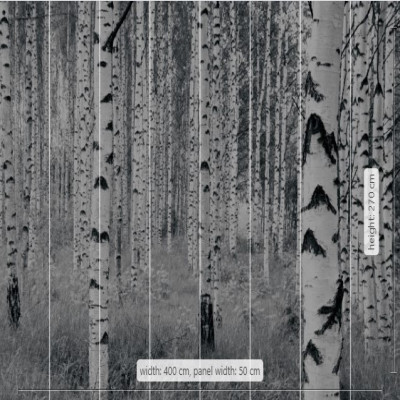 Wallpaper catalog - V8-724, Woods Wallpaper catalog - V8-724, Woods