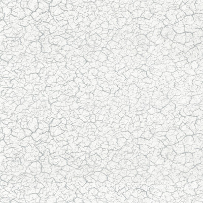 Divar kağızları kataloqu - 1516-21, Krakelur Divar kağızları kataloqu - 1516-21, Krakelur