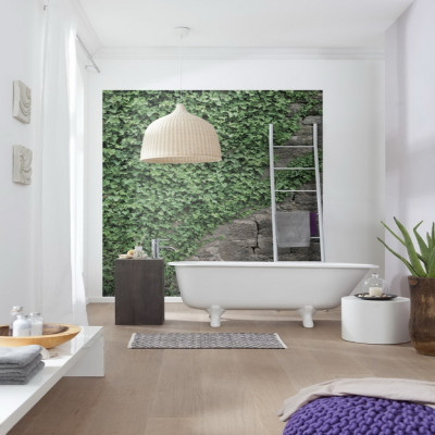 Wallpaper catalog - 4-324, Ivy Wallpaper catalog - 4-324, Ivy