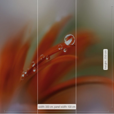 Wallpaper catalog - V3-772, Tautropfen Wallpaper catalog - V3-772, Tautropfen