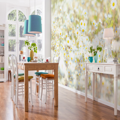 Wallpaper catalog - 8-994, Daisies Wallpaper catalog - 8-994, Daisies