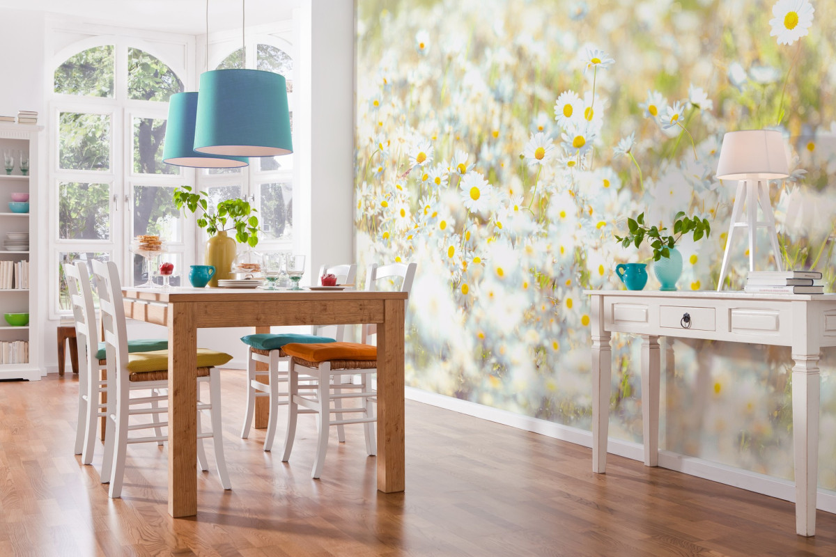 Divar kağızları 8-994, Daisies Divar kağızları 8-994, Daisies