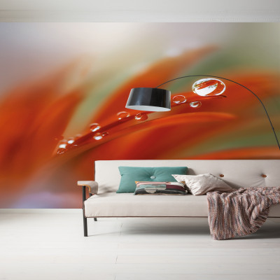 Wallpaper catalog - V3-772, Tautropfen Wallpaper catalog - V3-772, Tautropfen