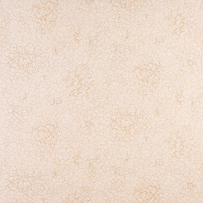 Divar kağızları kataloqu - 1069-53, Sahara Divar kağızları kataloqu - 1069-53, Sahara